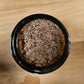 Brewed Awakening | Coffee Infused Lip Scrub | Coffee + Vanilla